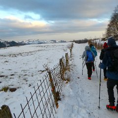 P1170250   Coi ramponcini.